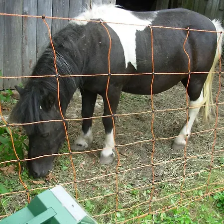 Farm stay Prati Oitzinger Valbruna