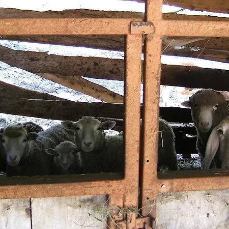 Bauernhof Prati Oitzinger Valbruna