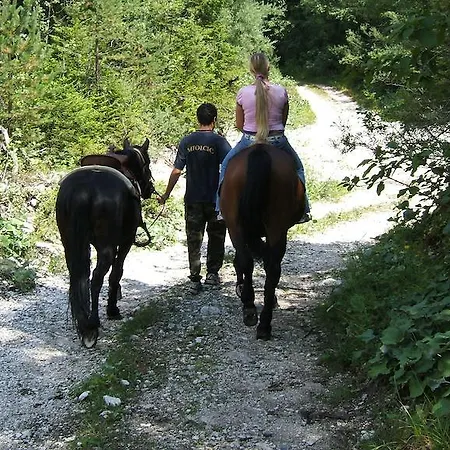 Prati Oitzinger