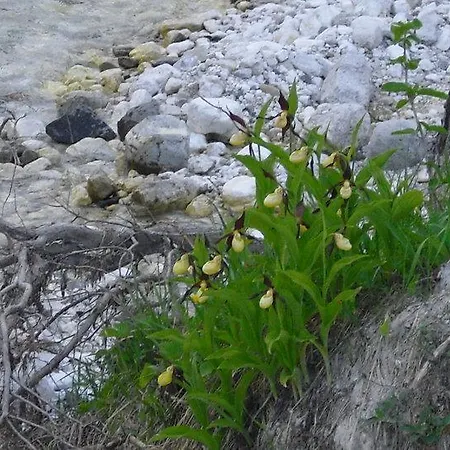 Farm stay Prati Oitzinger