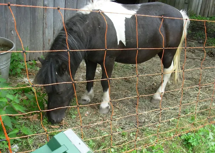 Farm stay Prati Oitzinger Valbruna