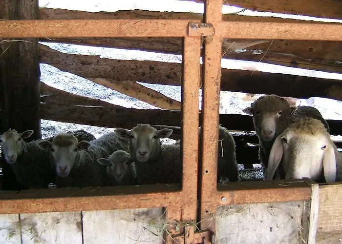 Farm stay Prati Oitzinger Valbruna