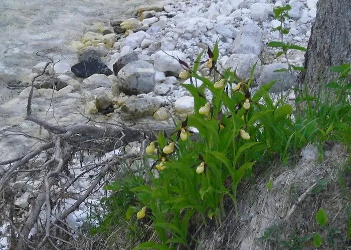 Farm stay Prati Oitzinger